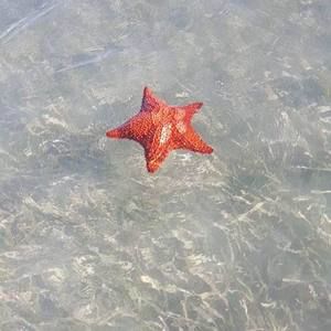 Meet your Posher, Katy